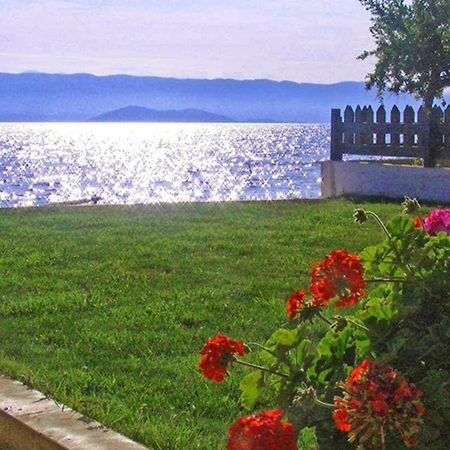 Finata Studios (Adults Only) Kavos Luaran gambar